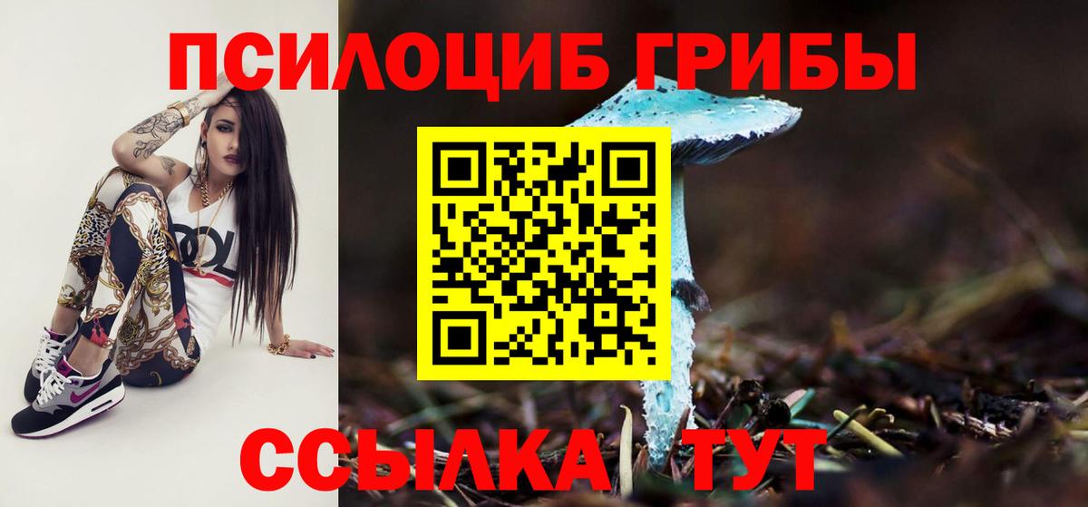 Белая Калитва  Псилоцибиновые грибы мицелий  Вход с VPN 